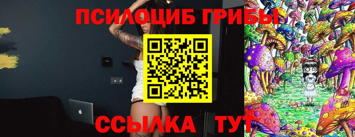 Тайшет  Галлюциногенные грибы мухоморы  Вход с VPN 