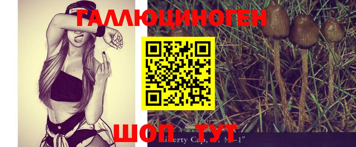 Галлюциногенные грибы MAGIC MUSHROOMS  Галлюциногенные грибы ЛСД  Тайшет 